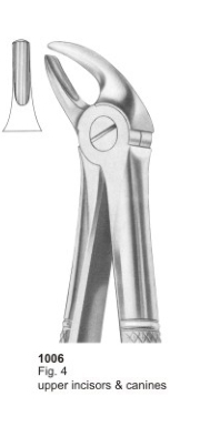 Fig. 4 upper incisors & canines 